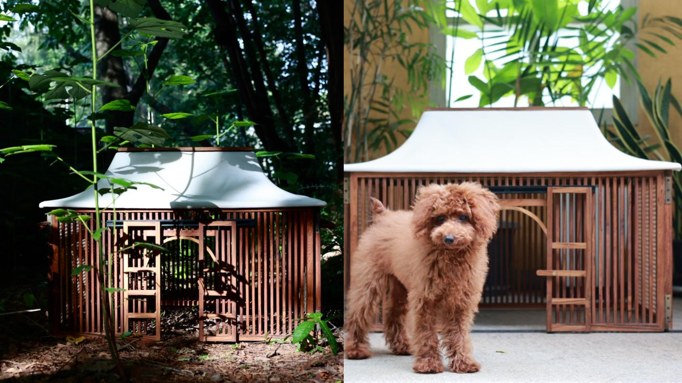 The Dog House: A Small Architecture of Care