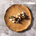 Aurelia Dinner Plates | Set of 4